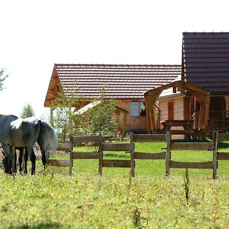 Le Hameau Des Grilles Villa Saint-Fargeau  Bagian luar foto